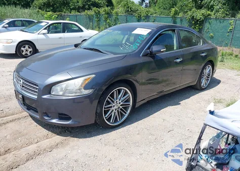 2010 Nissan Maxima 3.5 Sv z USA, uszkodzony, nr VIN 1N4AA5AP8AC847493